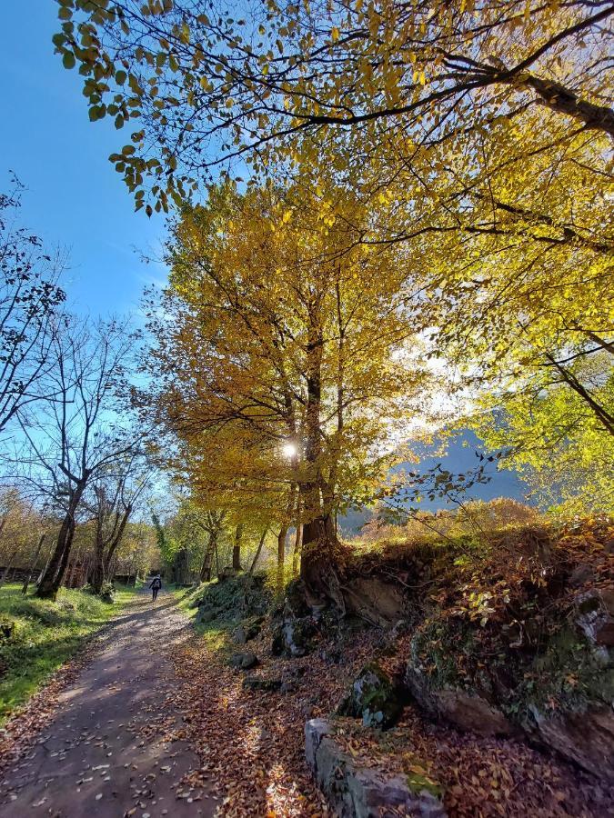 Villaggio Turistico Il Lago Dorato Carlazzo Екстер'єр фото